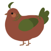 Pine, a russet and olive chicken with a neck-band pattern