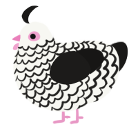 (unnamed), a white and sable chicken with a lace pattern