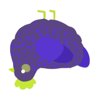 is bro okay, a overcast and indigo chicken with a speckle pattern