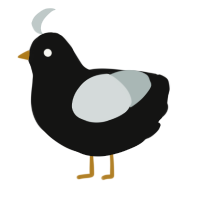 Penguin, a black and silver chicken