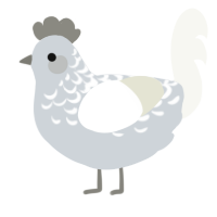 (unnamed), a mist and white chicken with a half-lace pattern