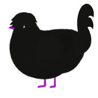Forever Foreward, a black chicken with a lace pattern