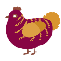 Pablo, a maroon and orange chicken with a half-bar pattern