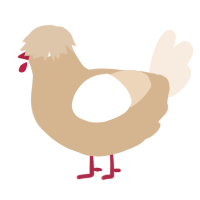 A beige and cream chicken