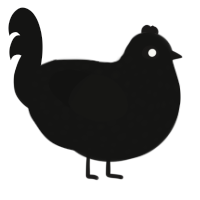 Him, a black chicken with a speckle pattern