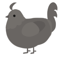 very grey, a grey chicken with a head pattern