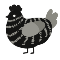 (unnamed), a black and ash chicken with a bar pattern