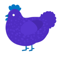 A indigo chicken with a speckle pattern