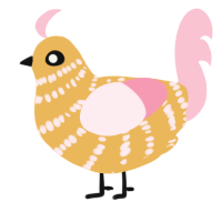Neapolitan, a honey and rose chicken with a bar pattern