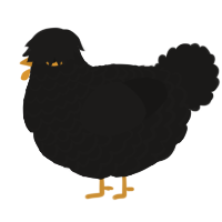 A sable chicken with a lace pattern