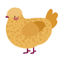 Swiss Cheese, a honey and orange chicken with a speckle pattern