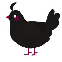 (unnamed), a sable chicken