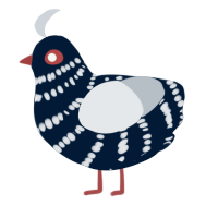 Vans, a tumblr and mist chicken with a bar pattern
