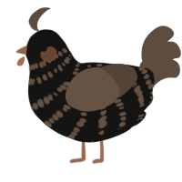 (unnamed), a black and bark chicken with a bar pattern