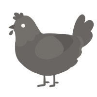 A grey chicken with a head pattern
