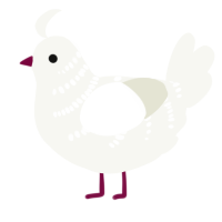 Snow White, a white chicken with a half-bar pattern