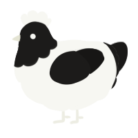 G TBN, a white and sable chicken with a head pattern