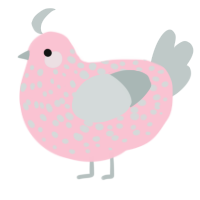 Raw, a rose and silver chicken with a speckle pattern