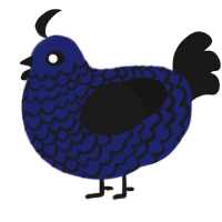 (unnamed), a navy and sable chicken with a lace pattern