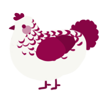 Maroon Lace, a white and maroon chicken with a half-lace pattern