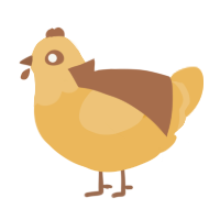 Zora, a honey chicken with a head pattern