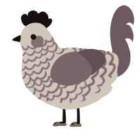 Nervous Subject, a lilac and overcast chicken with a lace pattern