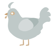 Luce, a silver chicken
