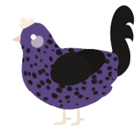 (unnamed), a overcast and sable chicken with a speckle pattern