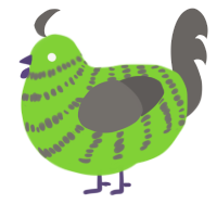 it is spreading, a grass and grey chicken with a bar pattern