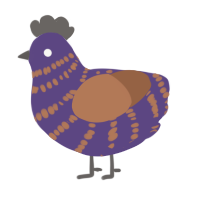 PBJ the first, a overcast and brown chicken with a bar pattern