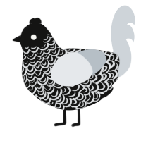Brian, a black and mist chicken with a double-lace pattern