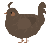 Ganache, a bark chicken with a half-bar pattern