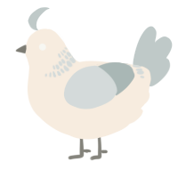 A cream and silver chicken with a neck-band pattern