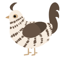 A cream and bark chicken with a bar pattern