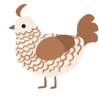 (unnamed), a cream and brown chicken with a lace pattern