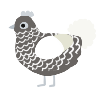 A grey and white chicken with a lace pattern