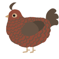 (unnamed), a russet and bark chicken with a lace pattern