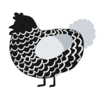 (unnamed), a sable and mist chicken with a lace pattern