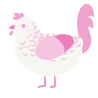 Pink Lace, a white and pink chicken with a half-lace pattern