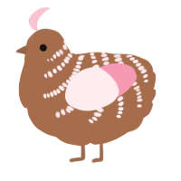 Strawberry Brownie, a brown and rose chicken with a half-bar pattern