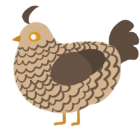 shell, a beige and bark chicken with a lace pattern