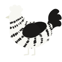 Dominoes, a white and sable chicken with a bar pattern