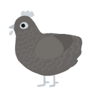 lil guy, a grey chicken with a lace pattern