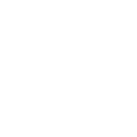 Illicit, a black chicken with a speckle pattern