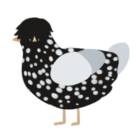 (unnamed), a sable and mist chicken with a speckle pattern