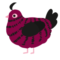 Enya, a maroon and sable chicken with a bar pattern