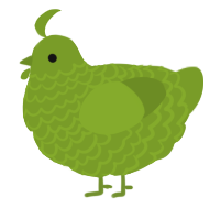 Chart, a chartreuse chicken with a lace pattern