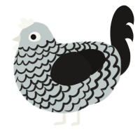silver, a silver and sable chicken with a lace pattern