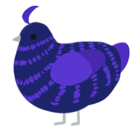 (unnamed), a navy and indigo chicken with a bar pattern