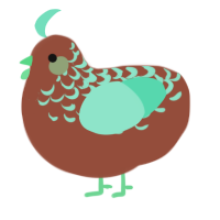(unnamed), a russet and mint chicken with a half-lace pattern